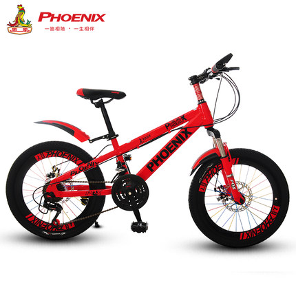 phoenix凤凰 儿童自行车18/20寸男女单车学生车变速山地车21速双碟刹